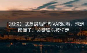 【图说】武磊最后时刻VAR回看，球迷都懂了：关键镜头被切走