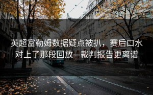 英超富勒姆数据疑点被扒，赛后口水对上了那段回放—裁判报告更离谱