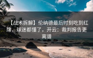 【战术拆解】伦纳德最后时刻吃到红牌，球迷都懂了，开云：裁判报告更离谱