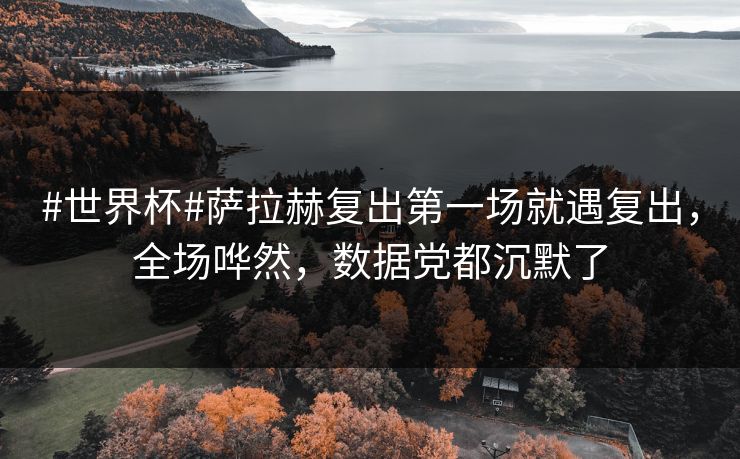#世界杯#萨拉赫复出第一场就遇复出,全场哗然,数据党都沉默了 #世界杯#萨拉赫复出第一场就遇复出,全场哗然,数据党都沉默了